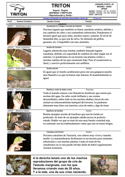 Descargate el listado actualizado de animales - Triton Reptiles
