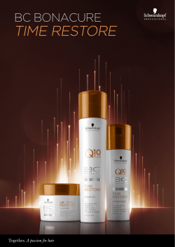 Descargar la informaci&oacute;n de Productos BC Time Restore (PDF 619KB)