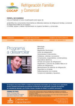 Programa a desarrollar - Cocap