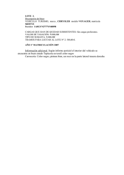 descripci&oacute;n del lote en formato PDF