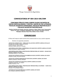 CONVOCATORIA N&ordm; 004-2014-SN/CNM COMUNICADO