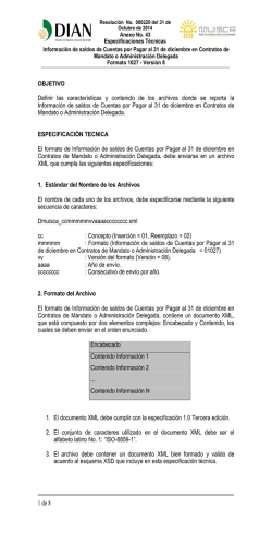 1 de 8 OBJETIVO Definir las caracter&iacute;sticas y contenido de - Dian