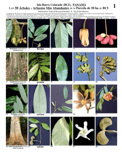 Los 50 &Aacute;rboles y Arbustos M&aacute;s Abundantes de la - Field Guides