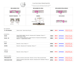 FLAUTAS PARA PRINCIPIANTES - Dasi flautas