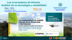 los invernaderos de almer&iacute;a. an&aacute;lisis de su tecnolog&iacute;a y rentabilidad.