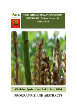 Acceso al Libro de Res&uacute;menes (en ingl&eacute;s) - Espa&ntilde;ol (Formal