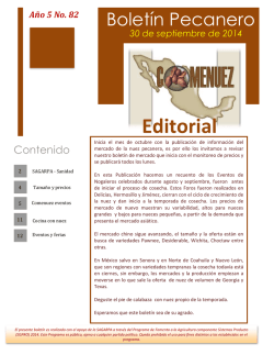 Bolet&iacute;n Pecanero - Comenuez