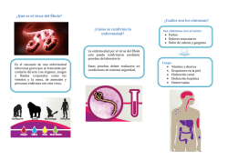 &iquest;Qu&eacute; es el virus del &Eacute;bola? - Instituto Nacional de Enfermedades