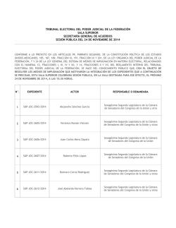 tribunal electoral del poder judicial de la federaci&Atilde;&sup3;n sala superior