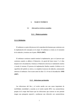 CAPITULO II (MARCO TE&Oacute;RICO).doc