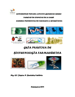 Descarga - jessica bardales valdivia