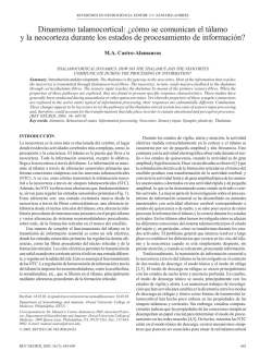 Dinamismo talamocortical: &iquest;c&oacute;mo se comunican el t&aacute;lamo y la
