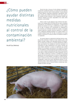 XIII Congreso Internacional ANEmBE de medicina Bovina &iquest;C&oacute;mo