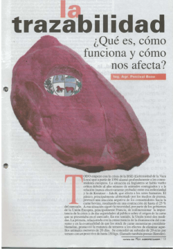 &iquest;Qu&eacute; es, c&oacute;mo funciona y c&oacute;mo nos afecta? - Instituto Plan