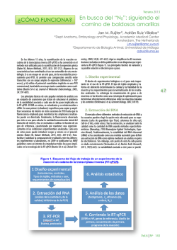 47-50-C&oacute;mo funciona-No en qPCR - Encuentros en la Biolog&iacute;a