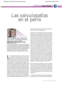 C&oacute;mo tratar... Las valvulopat&iacute;as en el perro . In: Veterinary Focus 18
