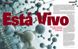 C&oacute;mo micro-organismos moldean la industria de Blue Jeans