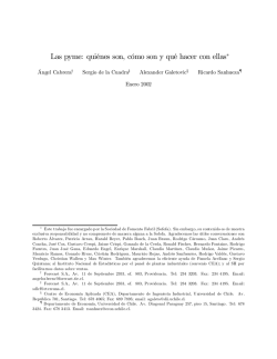 Las pyme: qui&eacute;nes son, c&oacute;mo son y qu&eacute; hacer con ellas*