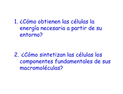 1. &iquest;C&oacute;mo obtienen las c&eacute;lulas la energ&iacute;a necesaria a partir de su