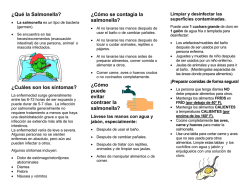 &iquest;Qu&eacute; la Salmonella? &iquest;Cu&aacute;les son los s&iacute;ntomas? &iquest;C&oacute;mo se