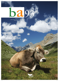 ENDOMETRITIS EN LA VACA LECHERA &iquest;C&Oacute;MO - ANEMBE