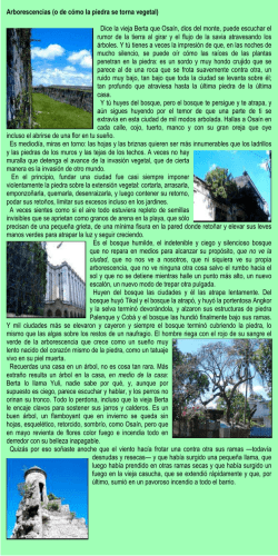 Arborescencias (o de c&oacute;mo la piedra se torna - Dream Havana