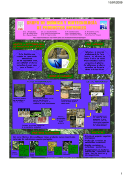 &iquest;QU&Eacute; HACEMOS? &iquest;C&Oacute;MO LO HACEMOS? VENTAJAS