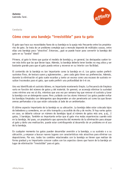 C&oacute;mo crear una bandeja &ldquo;irresistible&rdquo; para tu gato - Affinity Petcare