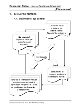 &iquest;C&oacute;mo somos? 1. El cuerpo humano - IES Pablo Picasso