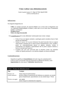 C&oacute;mo realizar una abdominocentesis