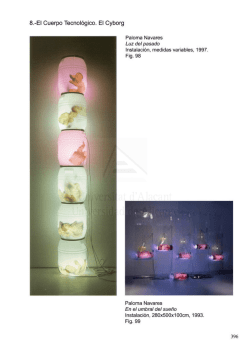 Identidad, Cuerpo y Nuevas Tecnolog&iacute;as: o c&oacute;mo ven las artistas