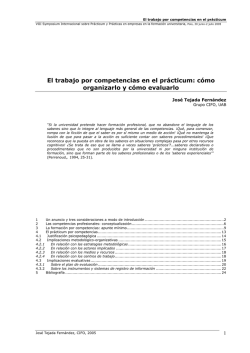 El trabajo por competencias en el pr&aacute;cticum: c&oacute;mo organizarlo y