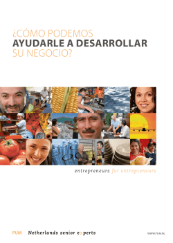 &iquest;C&oacute;mo podemos AYUDARLE A DESARROLLAR su negoCio? - PUM