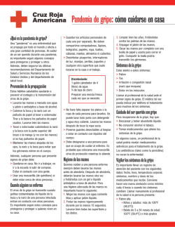 Pandemia de gripe: c&oacute;mo cuidarse en casa