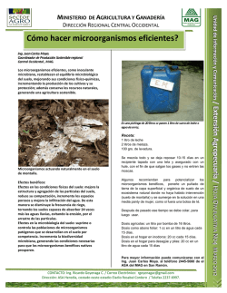 C&oacute;mo hacer microorganismos eficientes? - Ministerio de Agricultura