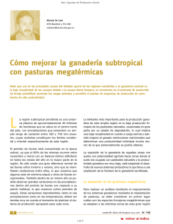 C&oacute;mo mejorar la ganader&iacute;a subtropical con pasturas megat&eacute;rmicas