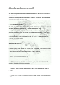 C&oacute;mo evitar que mi cachorro me muerda - denypomis