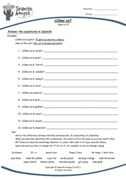 &iquest;C&oacute;mo es? - Amis Francais