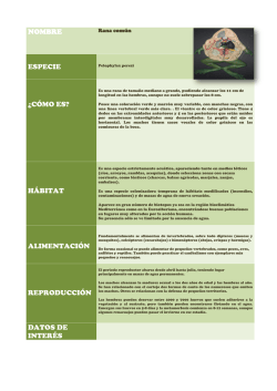 NOMBRE ESPECIE &iquest;C&Oacute;MO ES? H&Aacute;BITAT