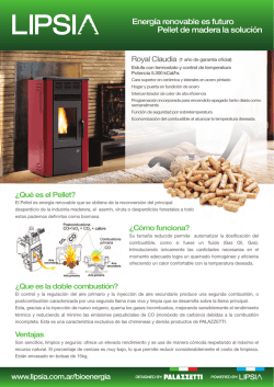 &iquest;Qu&eacute; es el Pellet? &iquest;C&oacute;mo funciona? &iquest;Que es la doble - Lipsia SA