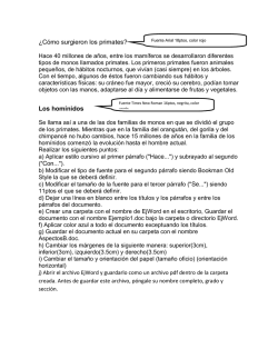 &iquest;C&oacute;mo surgieron los primates? Los hom&iacute;nidos