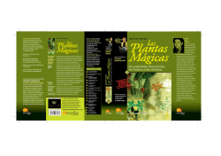 mar rey bueno Sus propiedades desconocidas, los rituales y c&oacute;mo