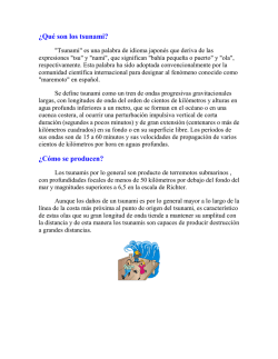 &iquest;Qu&eacute; son los tsunami? &iquest;C&oacute;mo se producen? - Shoa
