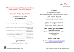 &iquest;C&oacute;mo? &iquest;Con cu&aacute;nto tiempo? &iquest;Qui&eacute;n puede presentarse? VI