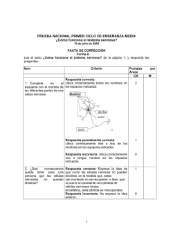 1 PRUEBA NACIONAL PRIMER CICLO DE ENSE&Ntilde;ANZA MEDIA