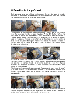 &iquest;C&oacute;mo limpio los pa&ntilde;ales?