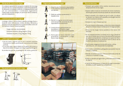Manipulaci&oacute;n manual de cargas Recomendaciones &iquest;C&oacute;mo - CES