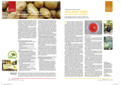 &iquest;C&oacute;mo obtener semillas para mi huerto ecol&oacute;gico? Campa&ntilde;a &ldquo;con