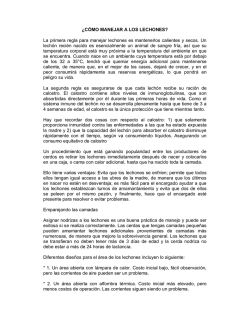 &iquest;C&Oacute;MO MANEJAR A LOS LECHONES? La primera regla para