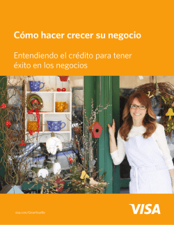 C&oacute;mo hacer crecer su negocio - Visa